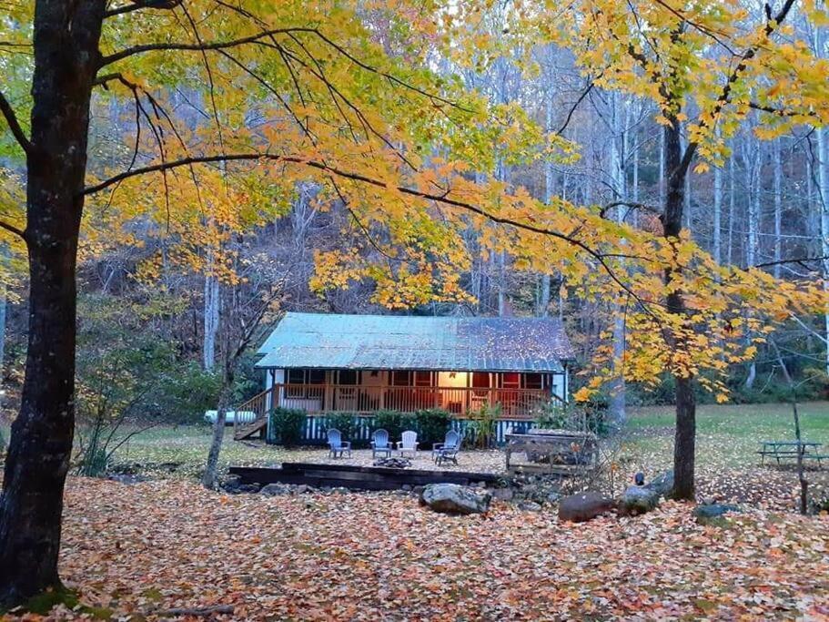 Creekside 1920'S Farmhouse Vila Bryson City Exterior foto